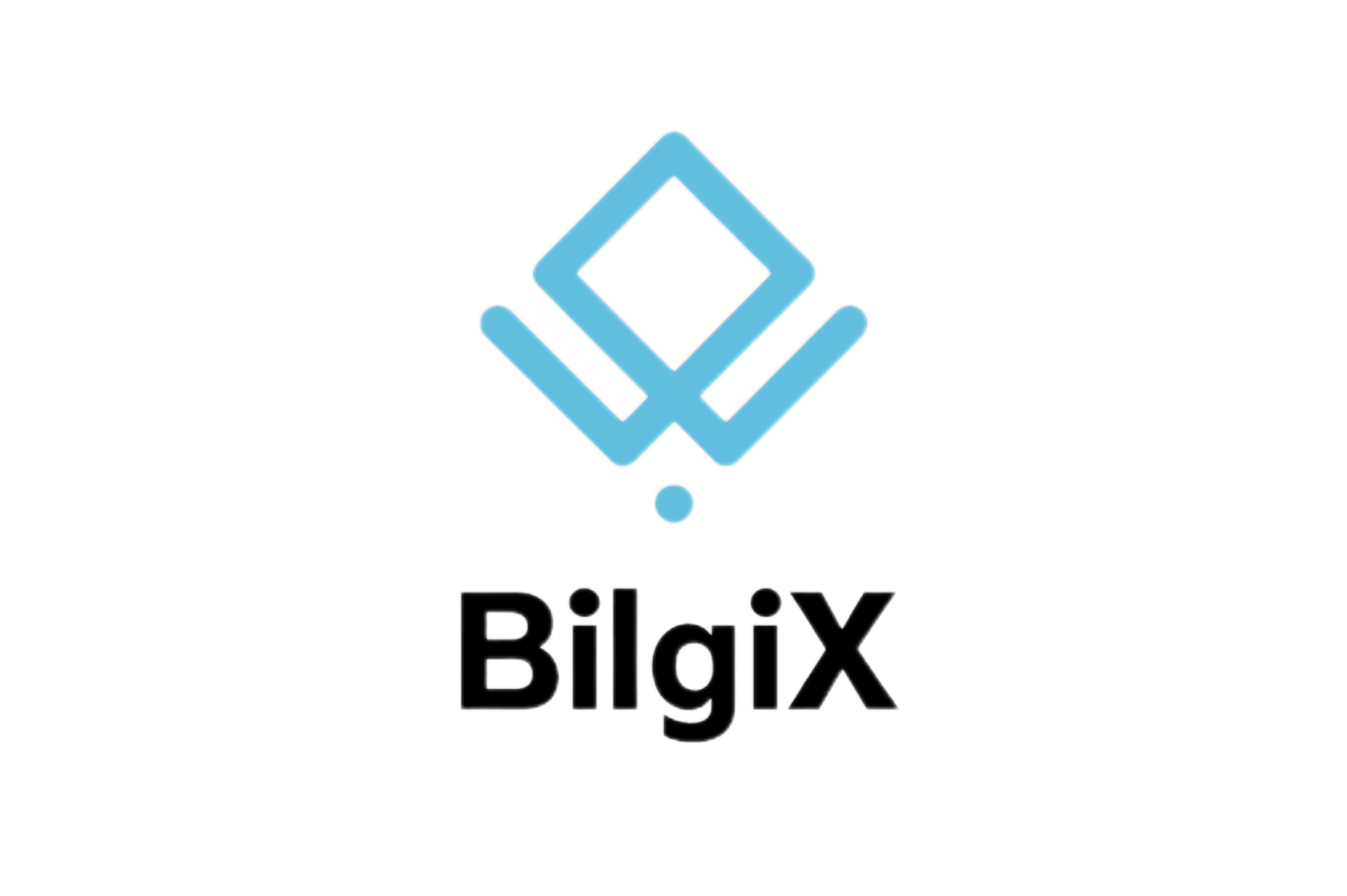 BilgiX Logo